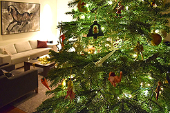 A SPARKLING NEW YEARS